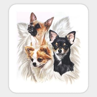 Chihuahua Montage Sticker